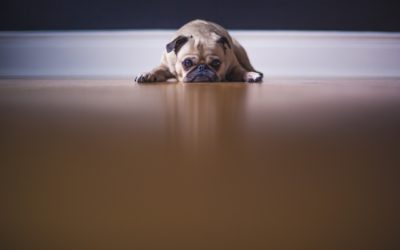 #91 Why Leaders Have Low Self-Esteem