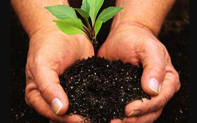 #146 Who Knew in Sales You Would Need a Green Thumb?
