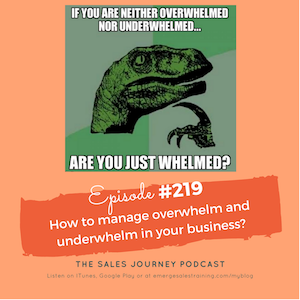 #219  How to manage overwhelm and underwhelm in your business
