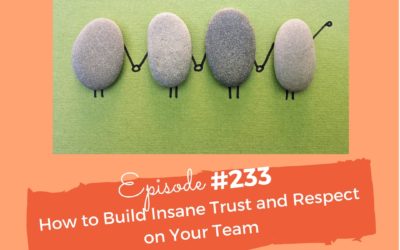#233 How to Build Insane Trust and Respect On Your Team