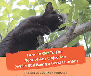 #262 How to Get to the Root of Any Objection