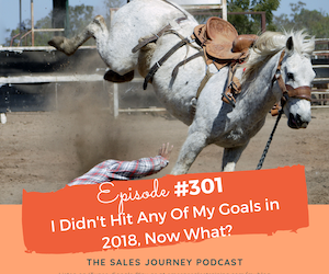 #301 I Didn’t Hit Any Of My Goals In 2018, Now What?