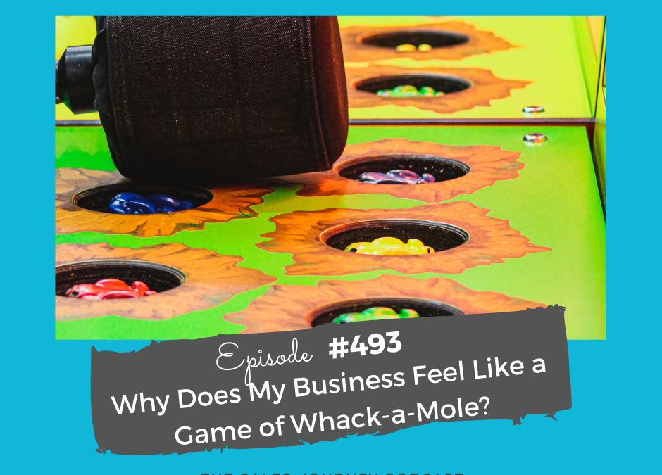 Why Does My Business Feel Like a Game of Whack-a-Mole? #493