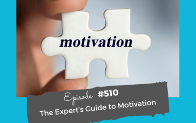 The Expert’s Guide to Motivation #510