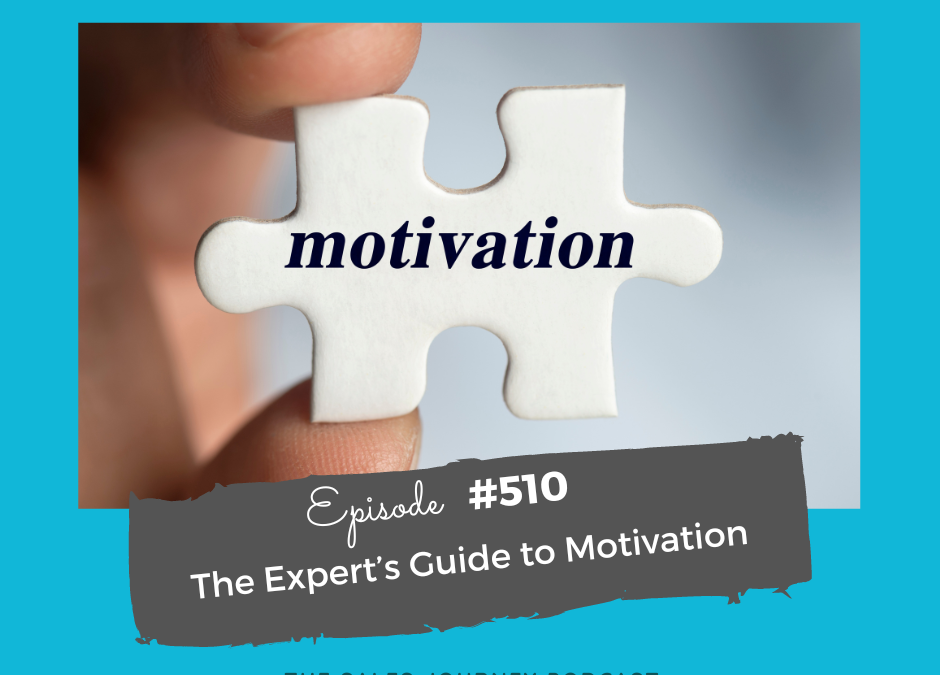 The Expert’s Guide to Motivation #510