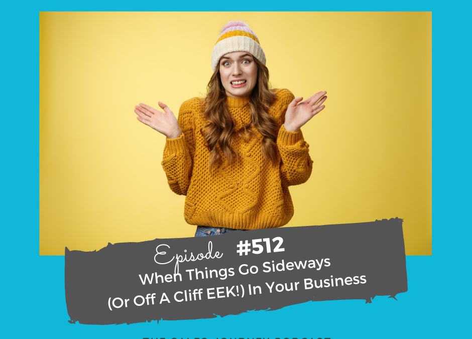 When Things Go Sideways (Or Off A Cliff EEK!) In Your Business #512